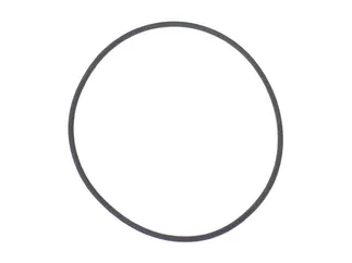 Victor Reinz O-Ring - 99970755440